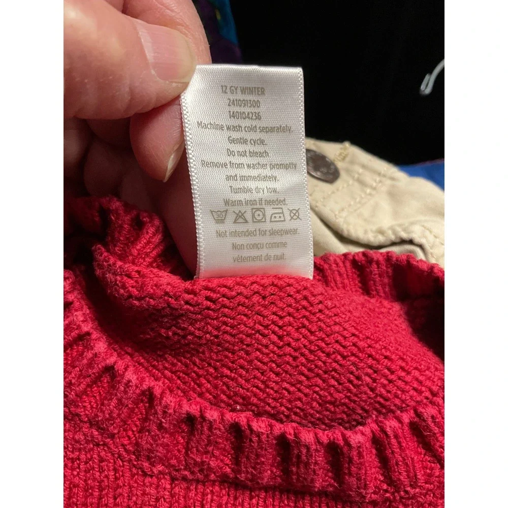 Gymboree Sweater Kids 12-18 Months Red Saint Bernard Winter Holiday Pullover